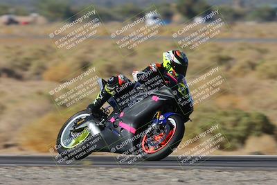 media/Nov-15-2024-CVMA Friday Practice (Fri) [[b142d29251]]/4-Group 4 and Trackday/Session 1 (Turn 14 Speed Pans)/